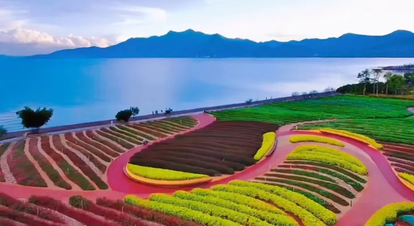 a32fb4de4dbb1b59c01123632d675ba0-sz_84652-1