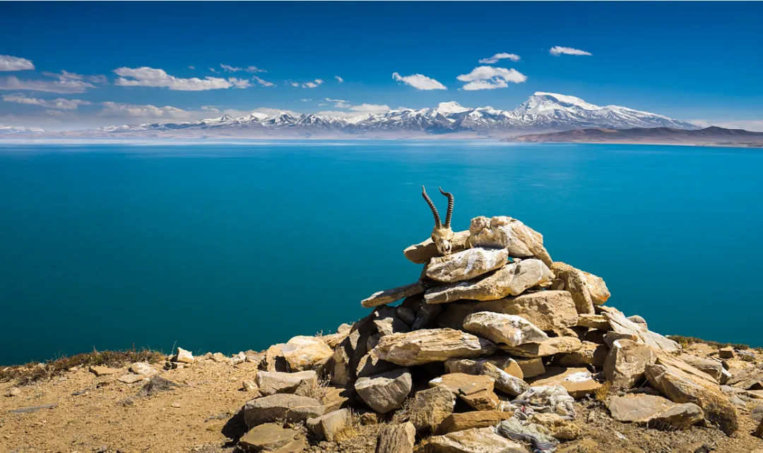 a3cec8216e06a00b6a81f11f0f5a5291-sz_1927654