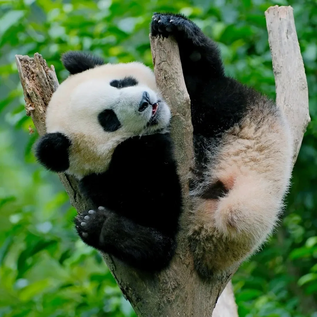 a3d48aaaf14d813ec3995f45cba56b22-sz_394464