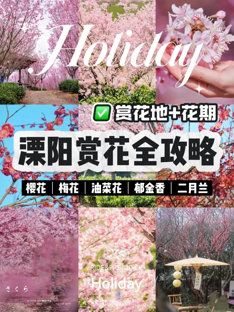 a441e66f79cdefc669214c3b35ae533b-sz_2167064