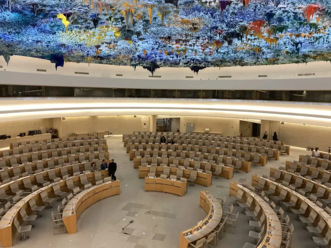 a49d53b70d71aaa78611fdde6dd6475f-sz_495265