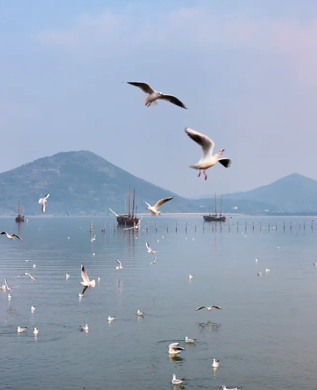 a4b5337425b623a3a06b6f92b3449ab9-sz_495050