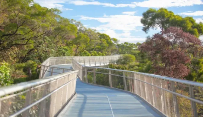 a4e89c370029f335821cebba9ae86506-sz_399486-5