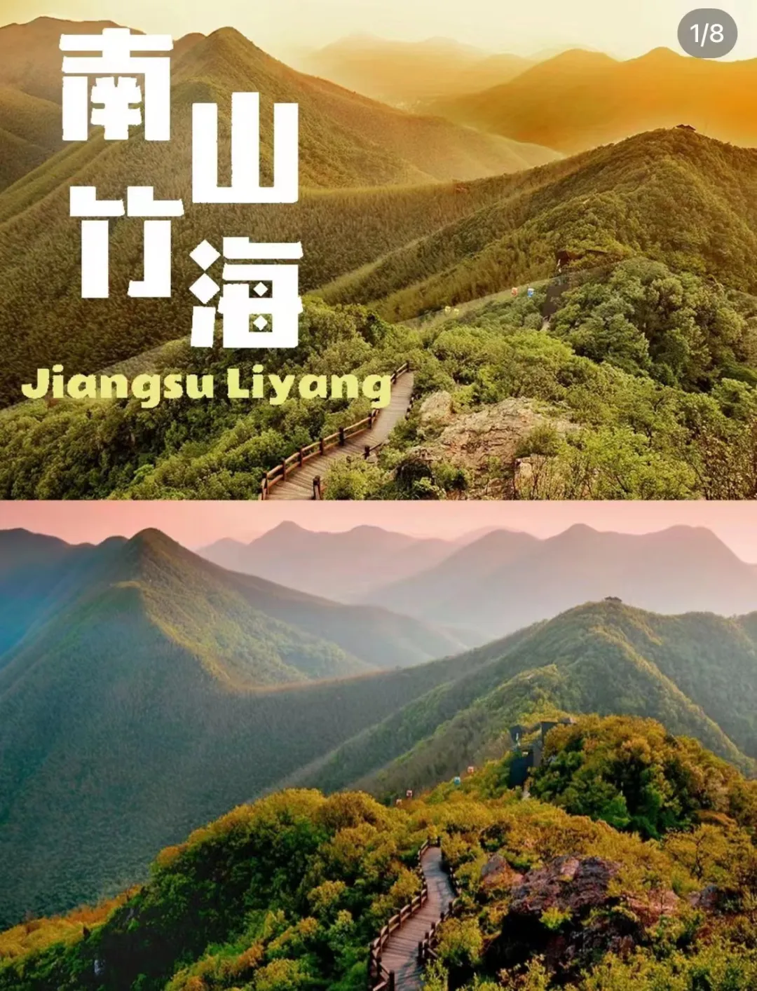 a504f1799616bbeb4ac467a7ce94c310-sz_483822-1