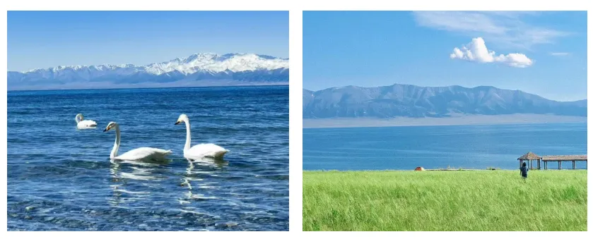 a50a342d7d988951c578b11b18b2f0d1-sz_630695