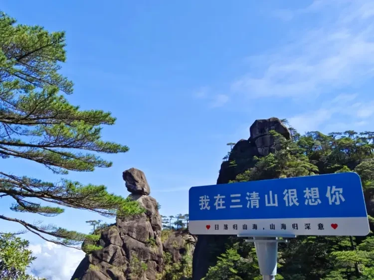 a5106fe5755d6e2649ca0695b3f9e12c-sz_143165