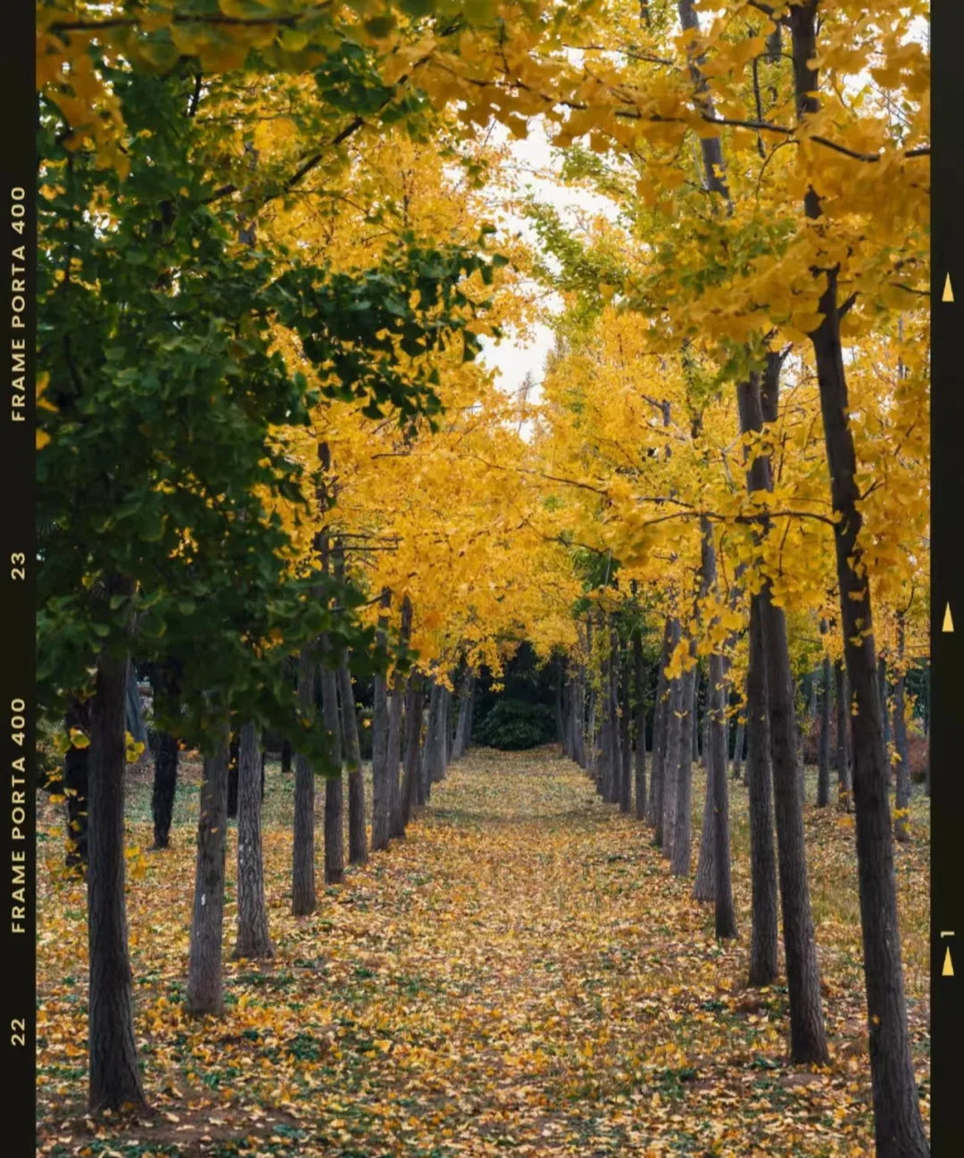 【399元淮安大千鹅温泉纯玩三日游 每人赠送送2斤土猪肉+30枚草鸡蛋，含2早4正 升级2餐14菜 湖鲜宴+螃蟹宴 免费棋牌唱歌嗨翻天
