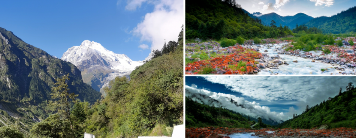 a573fb1c0dfddf448021f04866211365