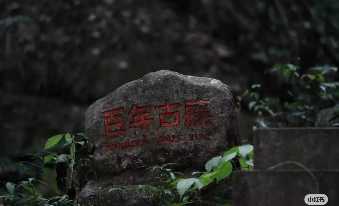 a5766a6394a38a0046566ebd1776c9e0-sz_116681