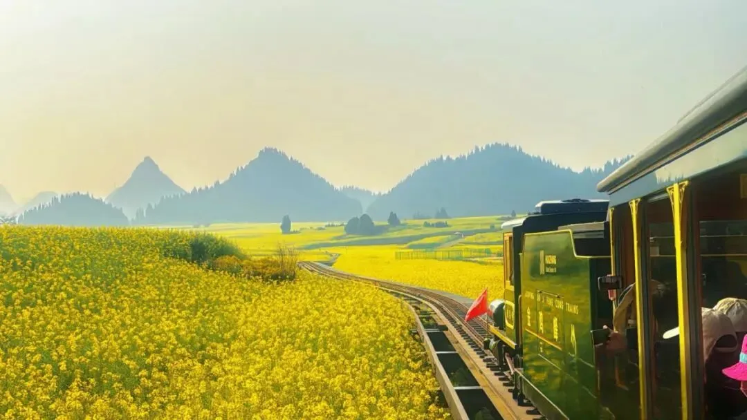 a59a6ebb69ecb648b261294c631ca92b-sz_93074-2