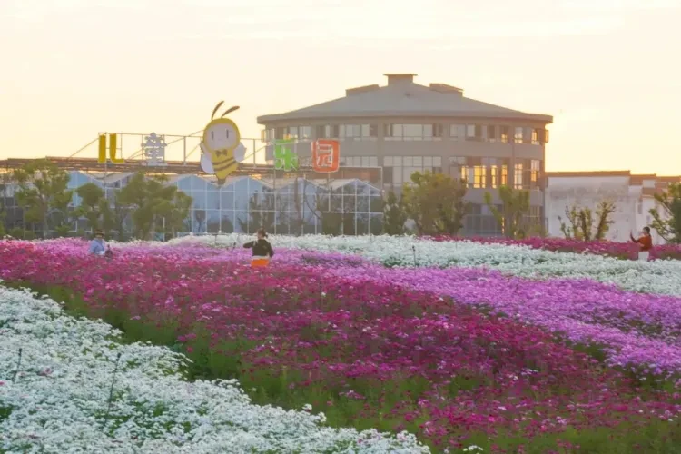 a5ca09736974fef5565c35ff47a651e2-sz_124827