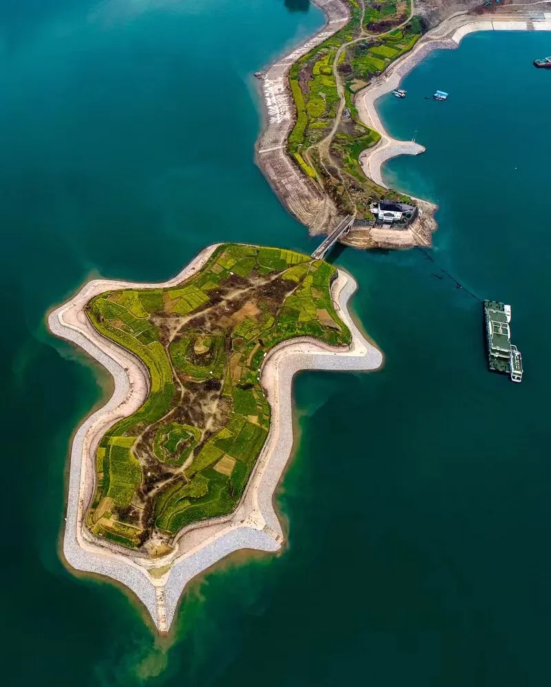 a60052771a2fcf70eec2e8032da4ff8a-sz_244133