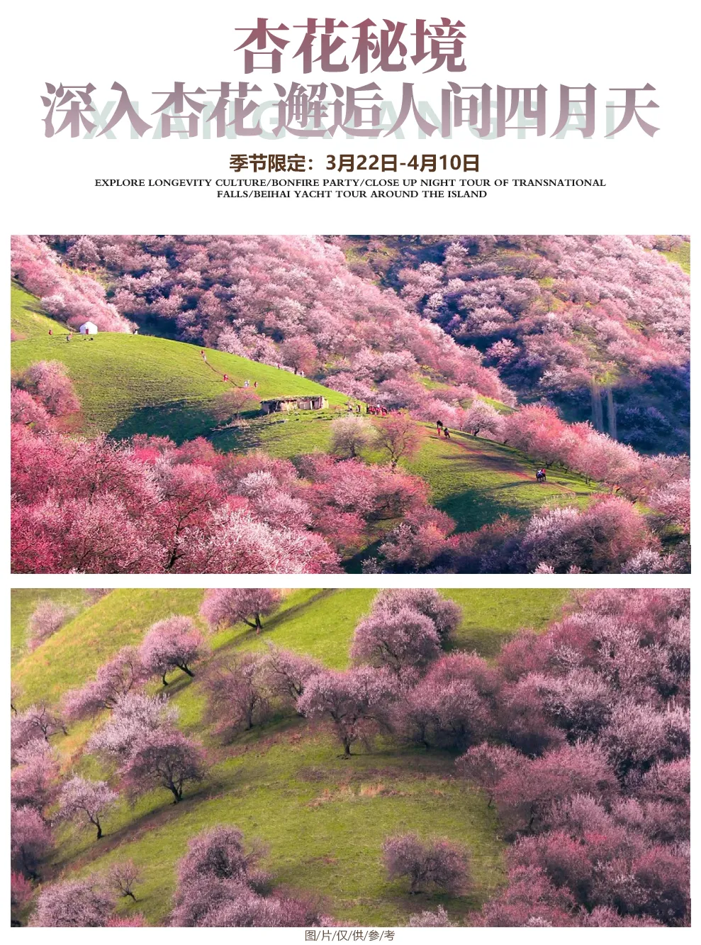 a608cedb31248fdf67826696afa70209-sz_2263021