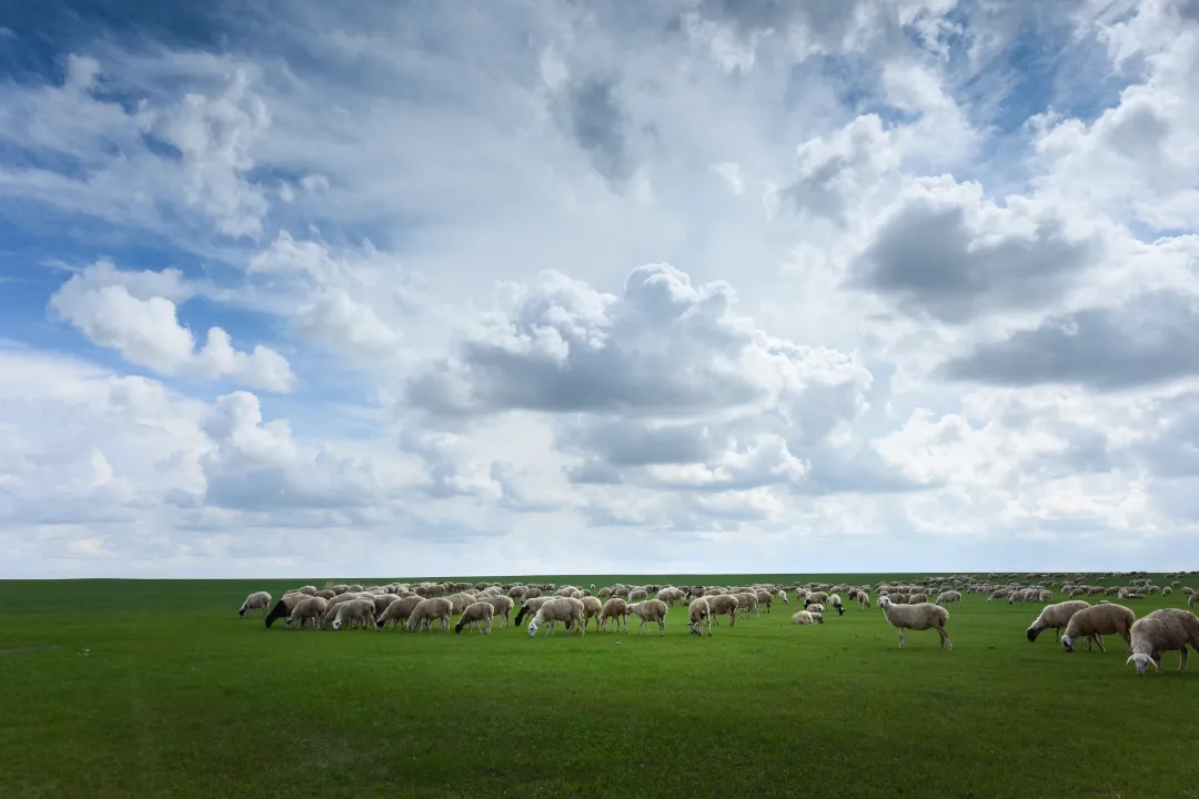 a61803b3d0422ff73c03a5f658b2ec61-sz_6081804