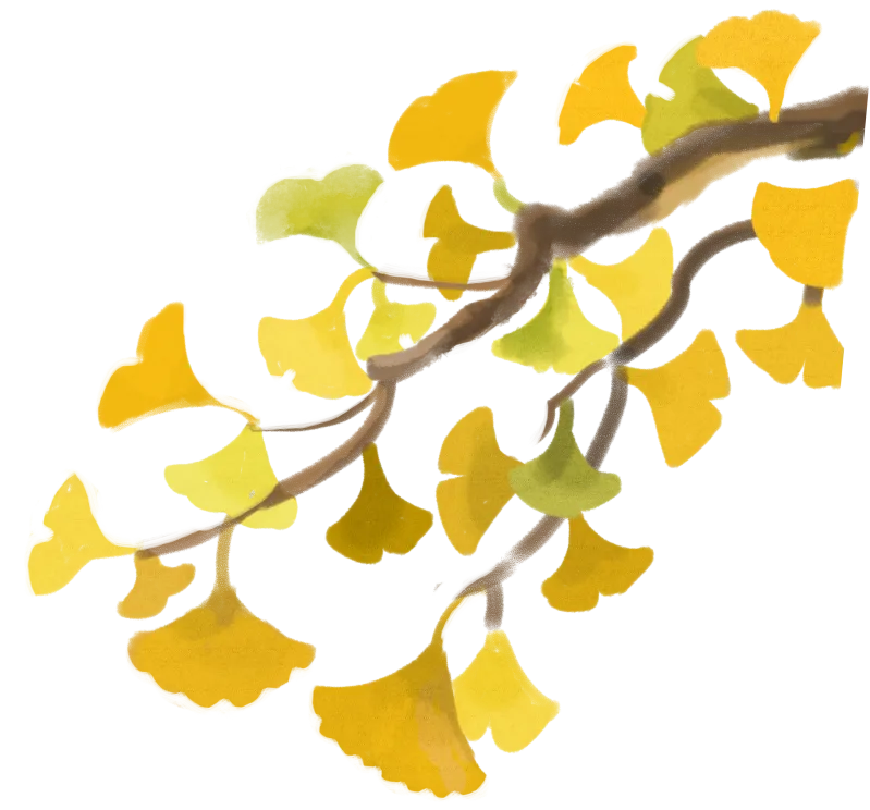 a65c341c0de519c5c5178db51c09bae6_sz-5206965