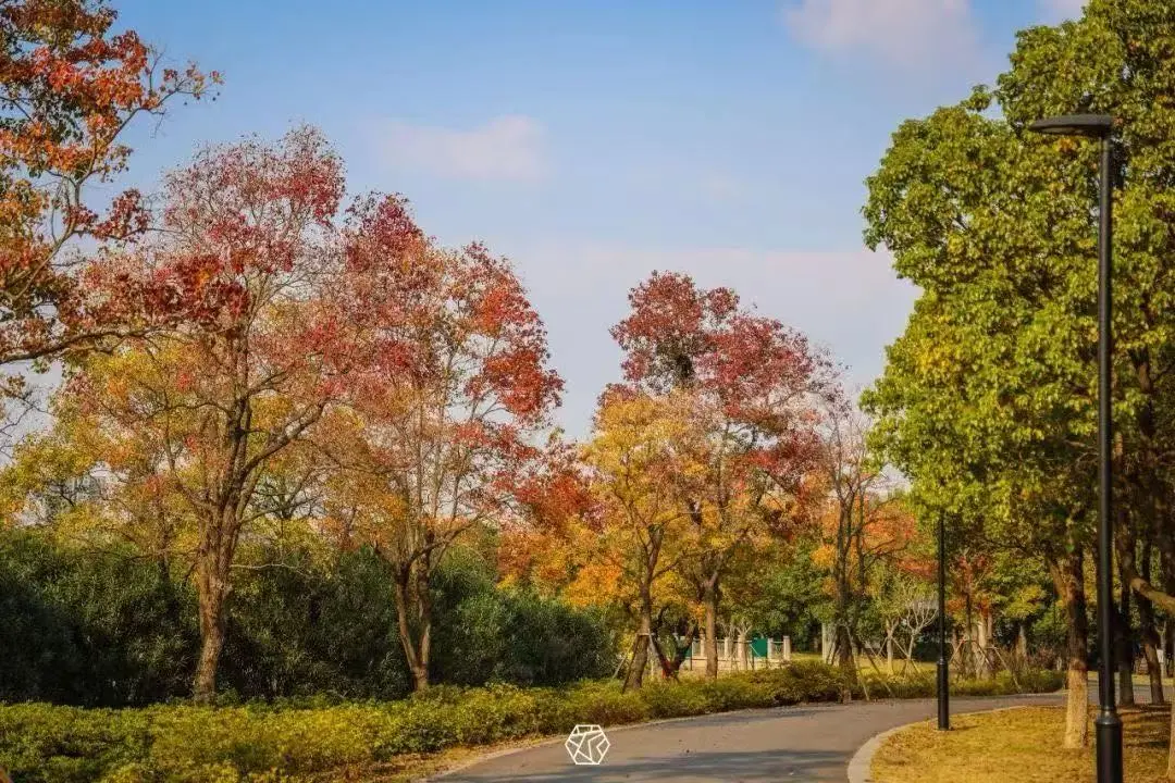 a67a034baf6f2e4682125da9a3c6d07a-sz_200205