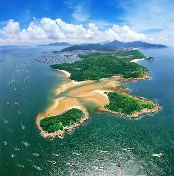 a67b3729adfaa8882707eae1656cd38d-sz_250318