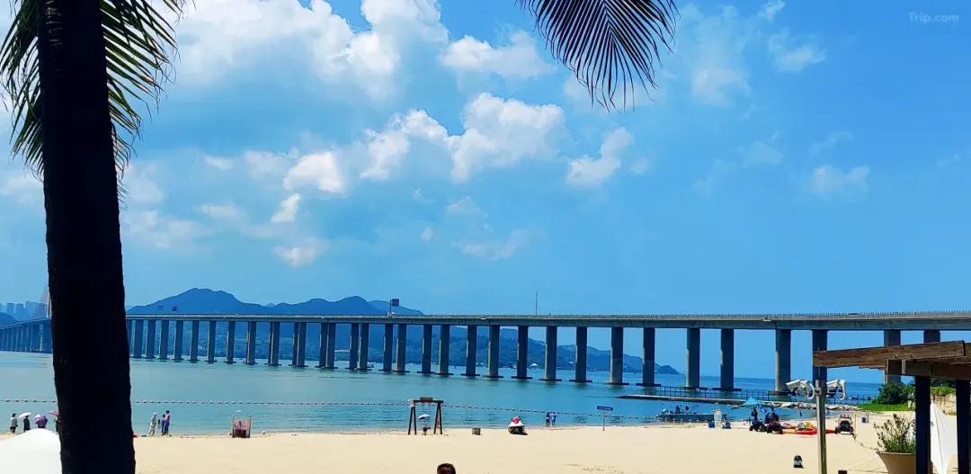 a6ac667bb058415a26ccb045d45cc2b4-sz_766791