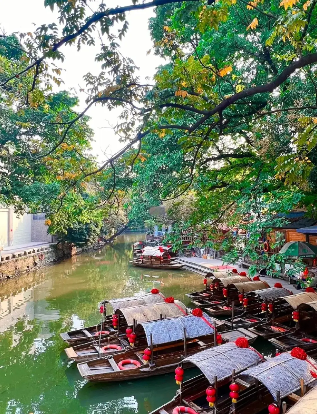 a6df6afd1ac8ecc7f16aac39c690ded8-sz_507534