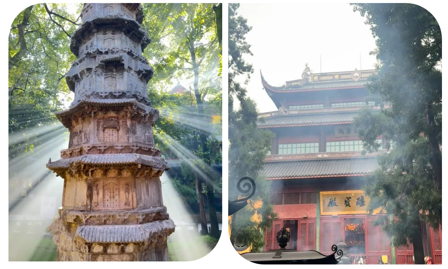 a6f9a74f57d7546c6d3b86f835641d8e