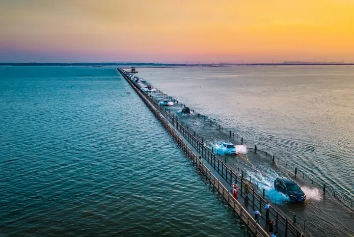 a6fbbbb0c933bb661cd95bb01539dea8-sz_735495