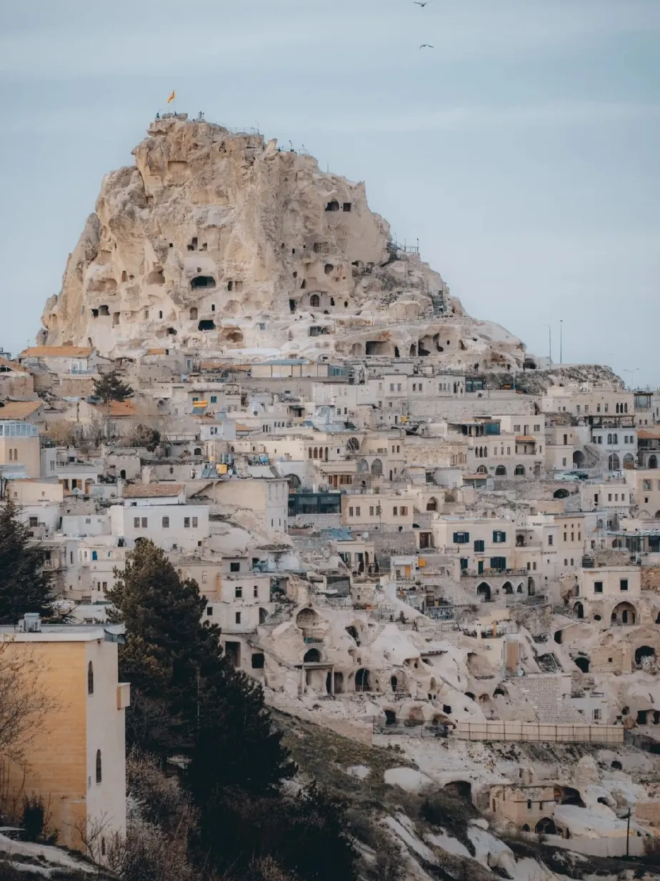 a729c99e83a2dee125c81371cf36f29f-sz_327132