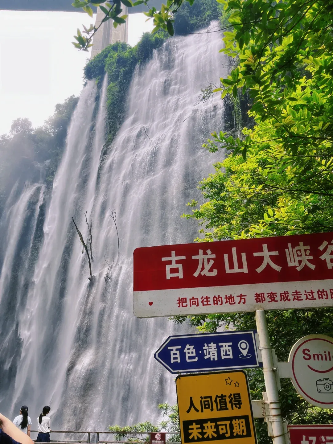 a733cc66944e5e52520457d131d4f64a-sz_2616833