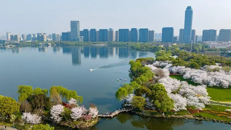 a7370d4049d1a5c36b62332c3400103c-sz_76877