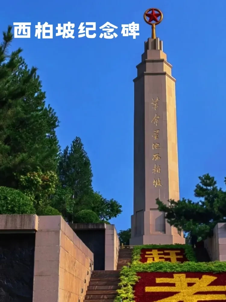 a76774829ac5125529e09ed8169d868c-sz_197743