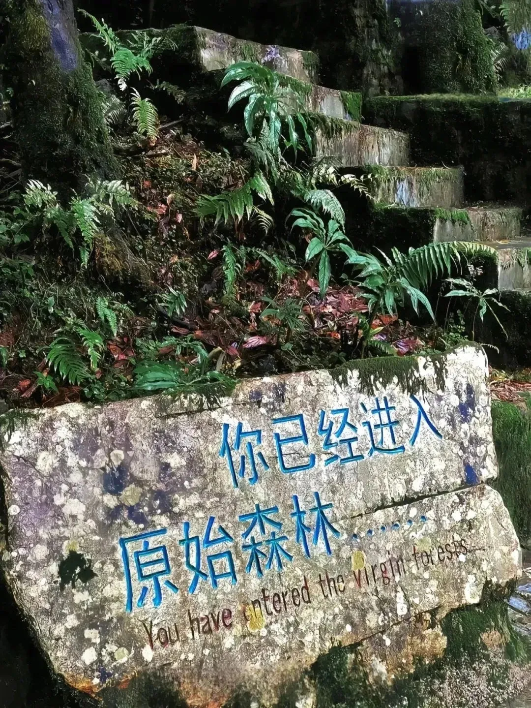 a79385543d9e749f92bd46c7d4bdc3f5-sz_1242596-1