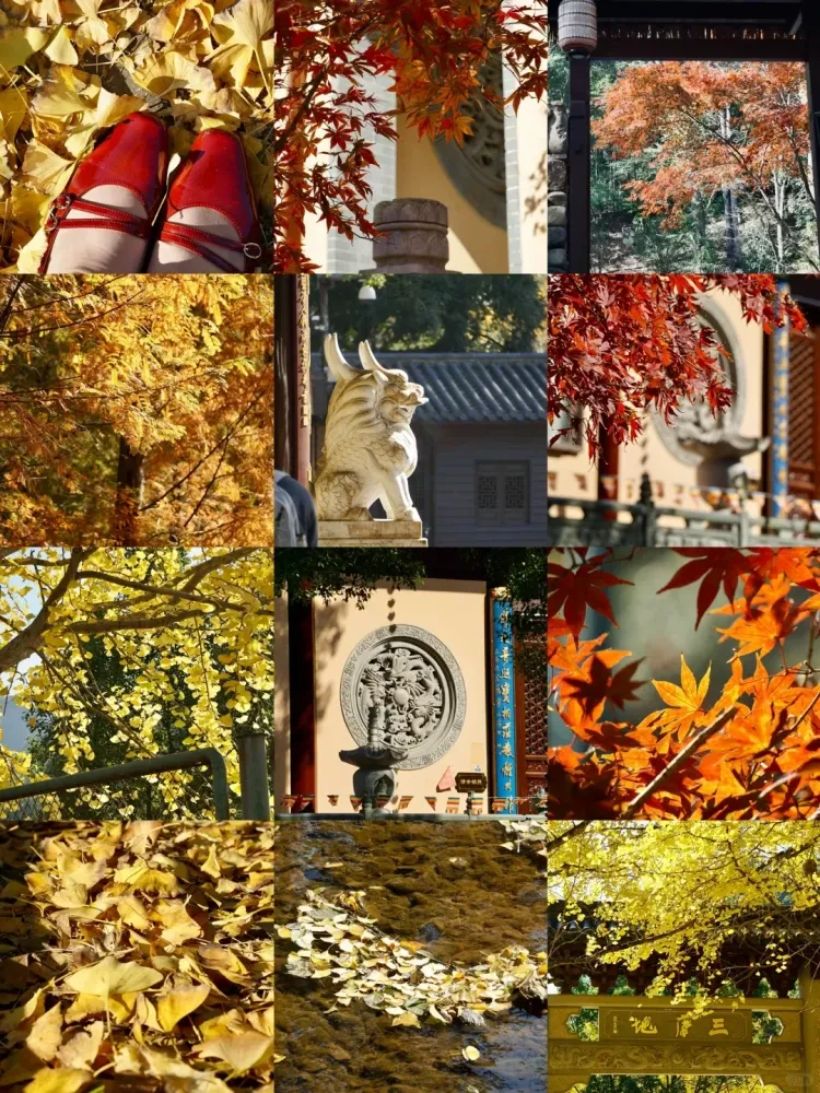 a7e48e00966c38dadb43d0854be299b4-sz_4034035