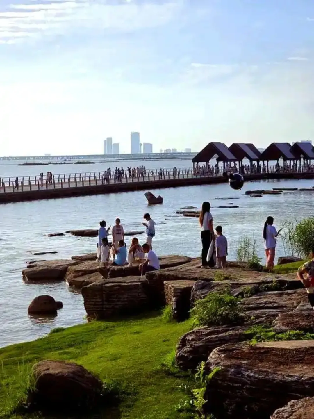 a7e973e346326bd11a098ec1e7e4da43-sz_485218