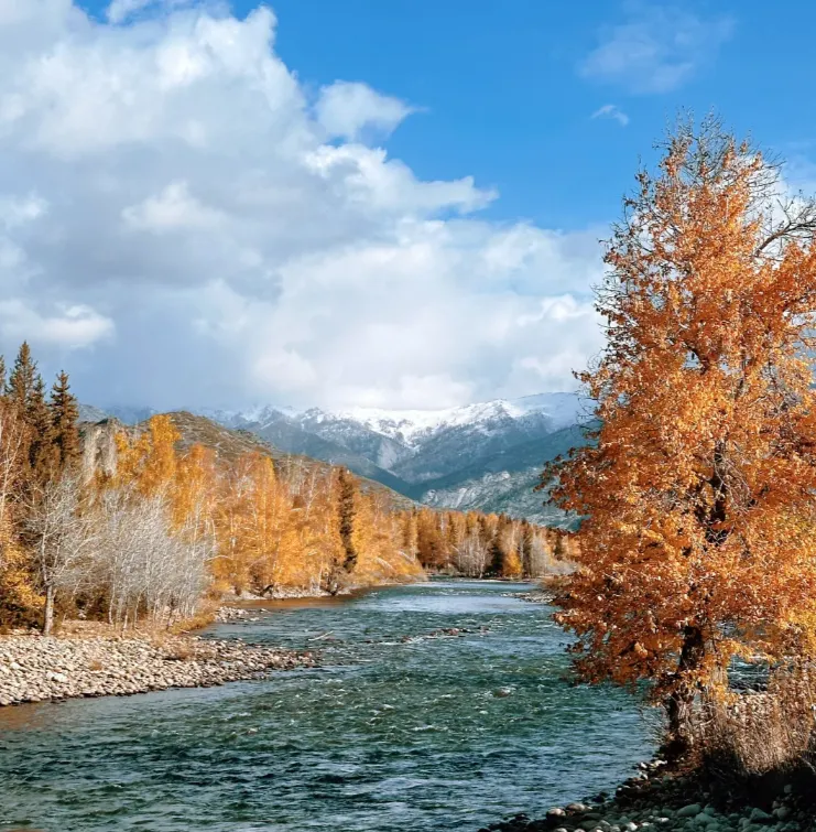 a80c3eefa852ddb3b20eaa93e70d956c-sz_1082859