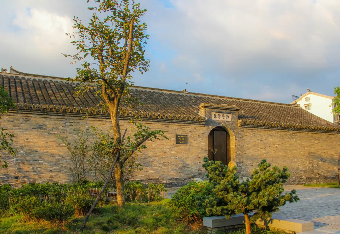 a81a08cb1db291a7922253a02d1fa49b-sz_10398070