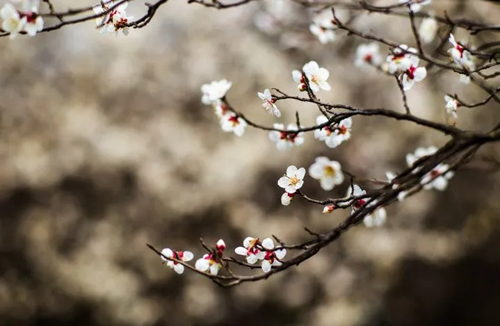 a81afe851db16fe58796a8ff9ffadfb8-sz_474089