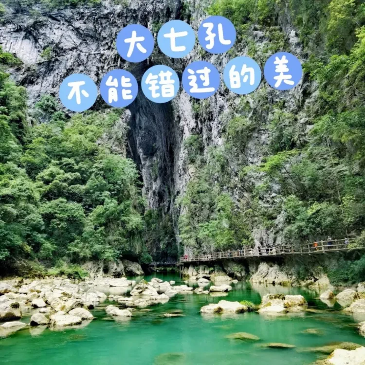 a8486dff52642f78a6e404ad1c788891-sz_313358