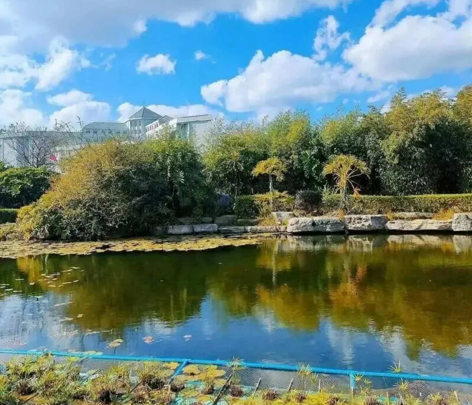 a863970e63d23ba87043654509899237