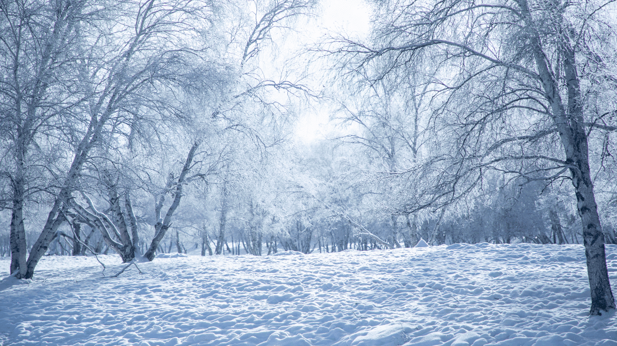 a8a7f0523878ae253e9874ffbc528984-sz_2850997-1