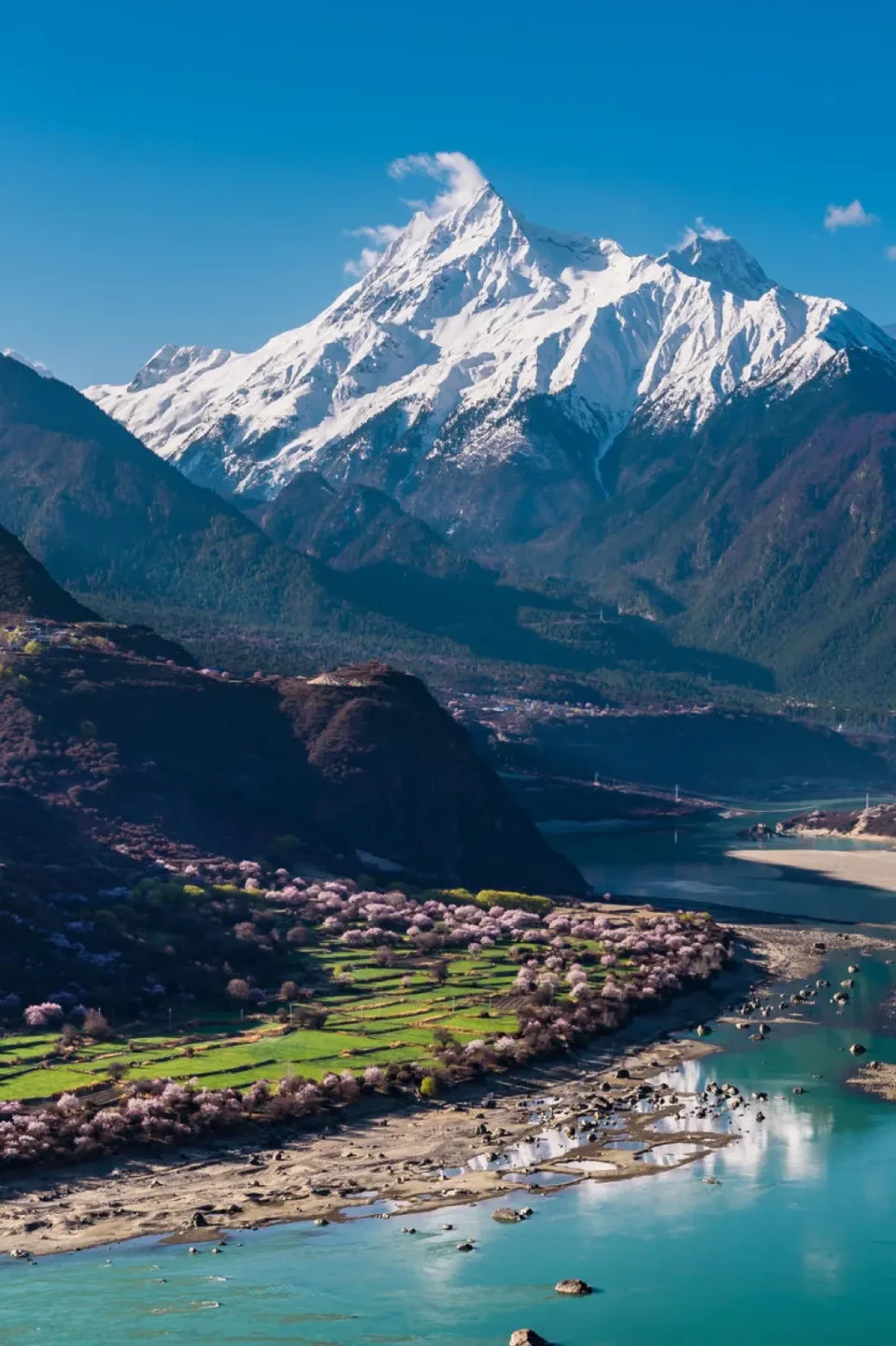 a8b38bcc8c70da1c848cebfbb739c60a-sz_1940892