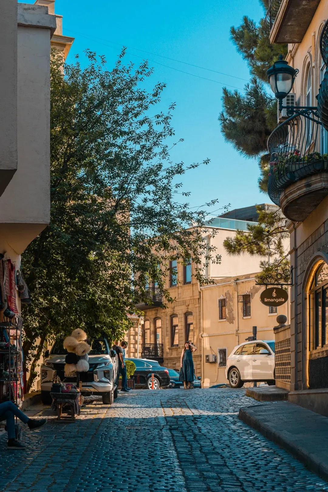 a8c622e45bae066dd71414647f5196b8-sz_691121