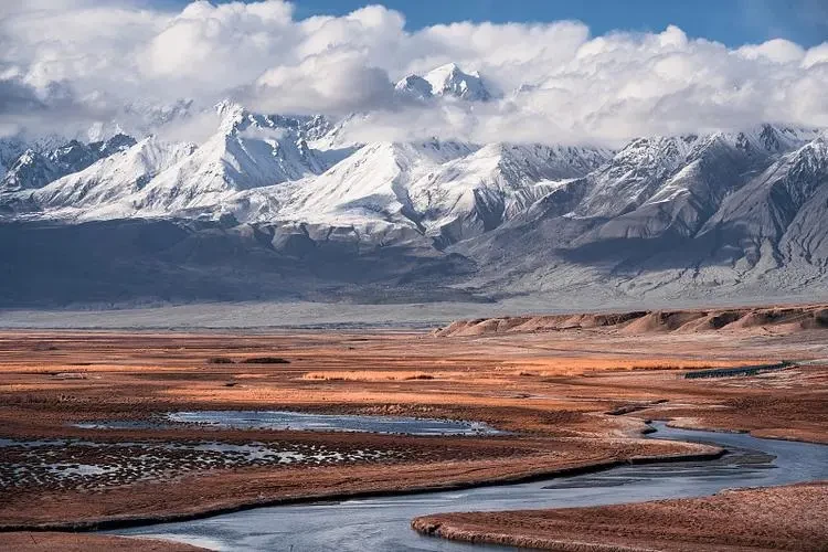 a8ce902f05133842ee0b083d76d67275-sz_84955