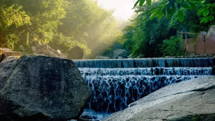 a8e08bc19cc805857f4fd48f659448a8-sz_143461 a8e08bc19cc805857f4fd48f659448a8-sz_143461