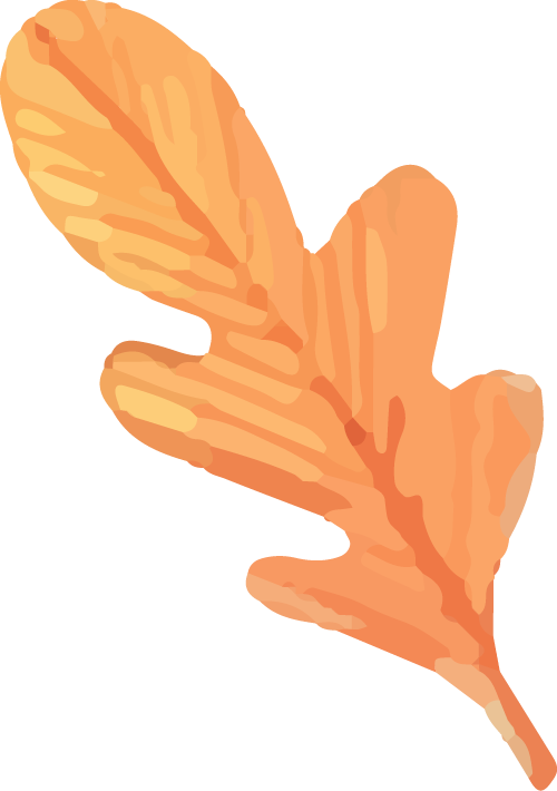 a8e118efd2a8f67063e1bd1d83a017b2_sz-48925-5