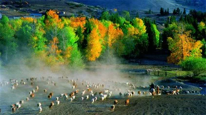 a8f45f5fc92a953709fd806c10f8dd6e-sz_39419