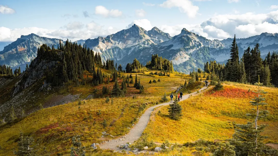 a90482b94dfbb3cf1f4055641f9be40f-sz_877008-1