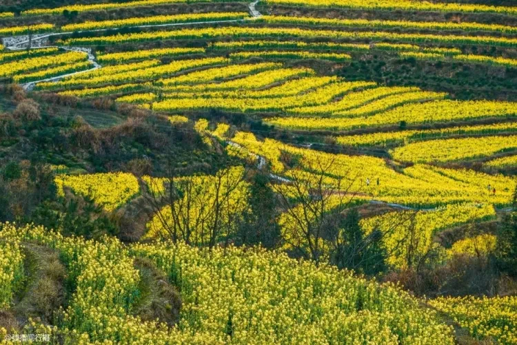 a9143bda7372298f34cbf581aa9716e4-sz_282328