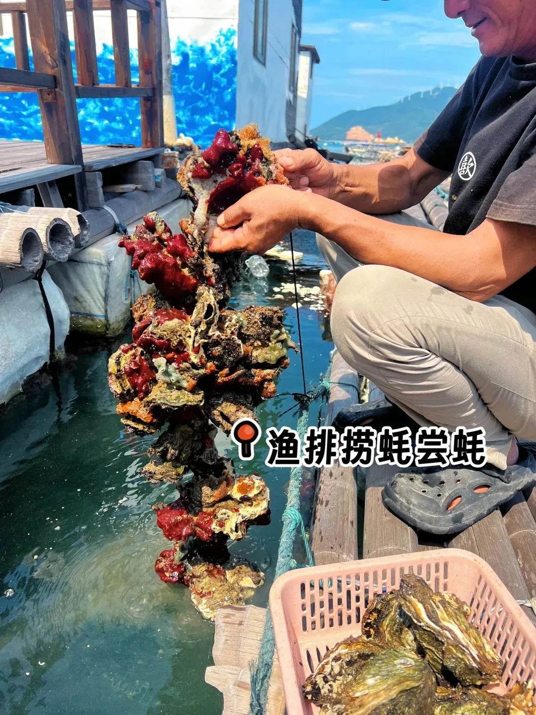 a9486d70c0e73be8467d25fa25d4da7e-sz_568644-1 a9486d70c0e73be8467d25fa25d4da7e-sz_568644-1