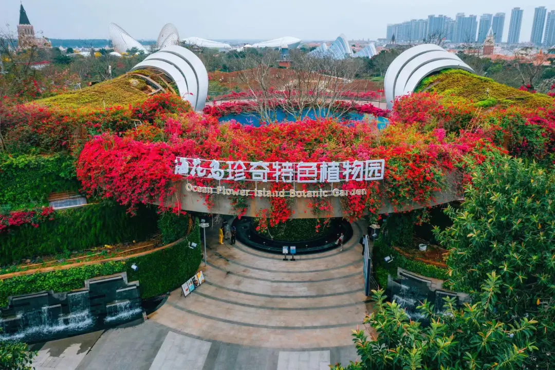 a957deff0ee587296c064f453f76aba2-sz_539193