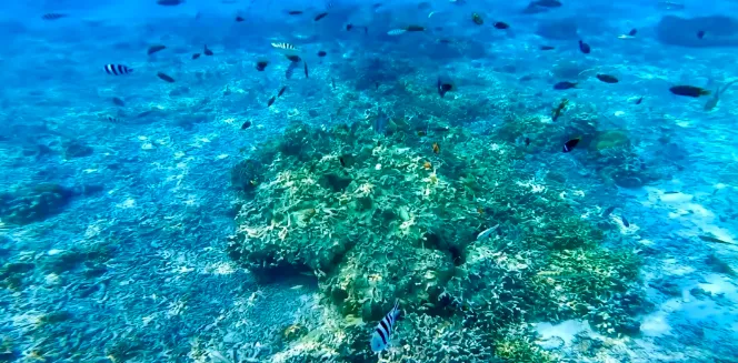 a968e2c5cc158755f3b22caa3c457da5-sz_555123