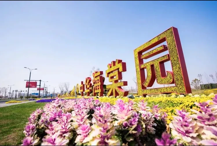 a98faf30aec053d7825ab5ddf394d641-sz_1084462